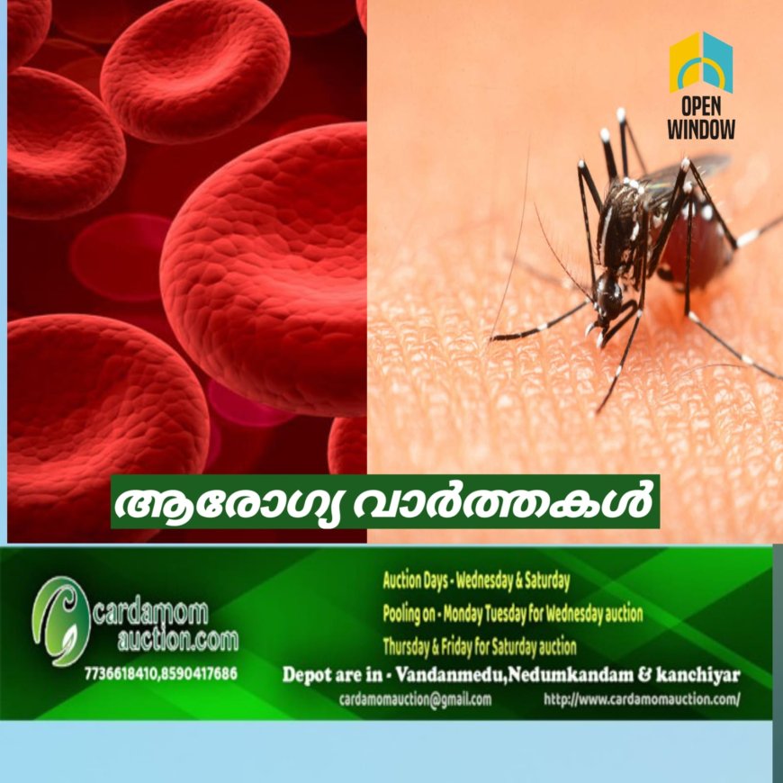 ഡെങ്കിപ്പനി കാരണം രക്തത്തിലെ പ്ലേറ്റ്‌ലെറ്റിന്റെ അളവ് കുറയുന്നത് അപകടകരമായ അവസ്ഥയാണ്