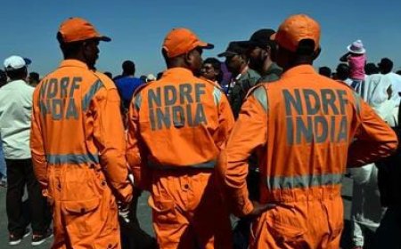 കാലവർഷം ശക്തമായതോടെ എൻ ഡി ആർ എഫിന്റെ സംഘം ഇടുക്കിയിലെത്തി;
25 പേരടങ്ങുന്ന സംഘമാണ് എത്തിയത്