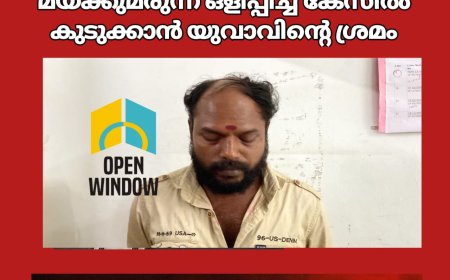 പെൺസുഹൃത്തിന്റെ പേഴ്സിൽ മയക്കുമരുന്ന് ഒളിപ്പിച്ച് കേസിൽ കുടുക്കാൻ യുവാവിൻ്റെ ശ്രമം. കട്ടപ്പനയിൽ ഒരാൾ അറസ്റ്റിൽ