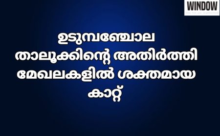 ഉടുമ്പഞ്ചോല താലൂക്കിന്റെ അതിർത്തി മേഖലകളിൽ ശക്തമായ കാറ്റ്;നാലു വീടുകൾ തകർന്നു