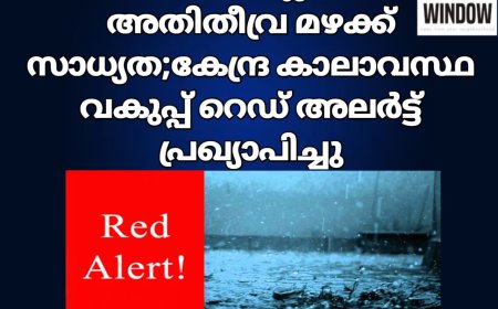 ഇടുക്കി ജില്ലയിൽ അതിതീവ്ര മഴക്ക് സാധ്യത; കേന്ദ്ര കാലാവസ്ഥ വകുപ്പ് റെഡ് അലർട്ട് പ്രഖ്യാപിച്ചു