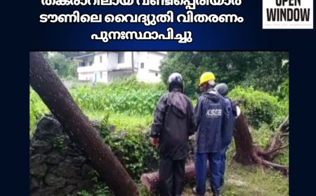ഇന്നലെ രാത്രിയിൽ പെയ്ത ശക്തമായ മഴയിലും കാറ്റിലും  മരം കടപുഴകി വീണതിനെ തുടർന്ന് തകരാറിലായ വണ്ടിപ്പെരിയാർ ടൗണിലെ വൈദ്യുതി വിതരണം  പുനഃസ്ഥാപിച്ചു