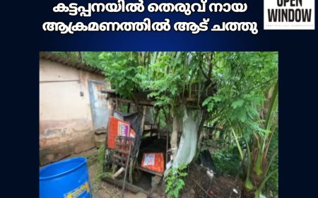 കട്ടപ്പനയിൽ തെരുവ് നായ ആക്രമണത്തിൽ ആട് ചത്തു