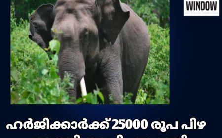 അരിക്കൊമ്പനെ മയക്കുവെടിവയ്ക്കരുതെന്ന് ഹർജി, ഹർജിക്കാർക്ക് 25000 രൂപ പിഴ ചുമത്തി സുപ്രിം കോടതി