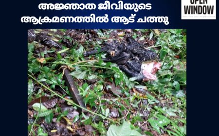 കട്ടപ്പന മുളകര മേട്ടിൽ അജ്ഞാത ജീവിയുടെ ആക്രമണത്തിൽ ആട് ചത്തു