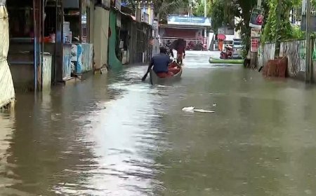 ആലപ്പുഴയിൽ വെള്ളപ്പൊക്കം രൂക്ഷം; കൂടുതൽ ക്യാമ്പുകൾ തുറക്കേണ്ടി വരുമെന്ന് ജില്ലാ കളക്ടർ