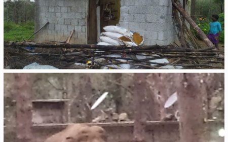 ചിന്നക്കനാൽ 301 കോളനിയിൽ വീണ്ടും കാട്ടാനയാക്രമണത്തിൽ വീട് തകർന്നു.