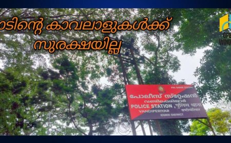 മഴയത്തും സഞ്ചാരികളെ കൊണ്ട് നിറഞ്ഞിരിക്കുകയാണ് ഇടുക്കി തൊടുപുഴക്കടുത്തുള്ള ആനചാടിക്കുത്ത് വെള്ളച്ചാട്ടം