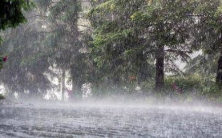 സംസ്ഥാനത്ത് അടുത്ത നാല് ദിവസം മഴ തുടരുമെന്ന് പ്രവചനം; വിവിധ ജില്ലകളിൽ ജാഗ്രത നിർദ്ദേശം