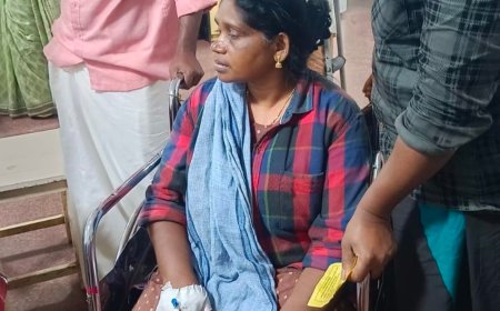 വണ്ടിപ്പെരിയാറിൽ തോട്ടം തൊഴിലാളി സ്ത്രീയ്ക്ക് പാമ്പ് കടിയേറ്റു