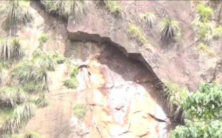 ഇടുക്കി അണക്കെട്ടിനോട് ചേർന്നു നിൽക്കുന്ന വൈശാലി മലയിൽ നിന്നും കൂറ്റൻപാറ അടർന്നു വീണു.  രാവിലെ വലിയ ശബ്ദത്തോടെയാണ്   പാറ അടർന്നു വീണത്. ആശങ്കക്ക് സാഹചര്യമില്ലന്ന് വൈദ്യുതി ബോർഡ്