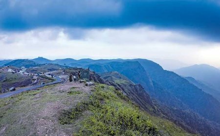പരുന്തുംപാറയിൽ കൊക്കയിൽ വീണ് യുവാവ്  മരിച്ചു