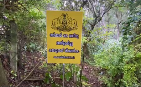 മൂന്നാർ  ചിന്നക്കനാലിൽ തച്ചങ്കരി എസ്റ്റേറ്റ്സ് ആൻഡ്‌ റിസോർട്സ് എന്ന സ്ഥാപനം അനധികൃതമായി കൈവശം വച്ചിരുന്ന 82 സെന്റ് ഭൂമി റവന്യു വകുപ്പ് ഏറ്റെടുത്തു.