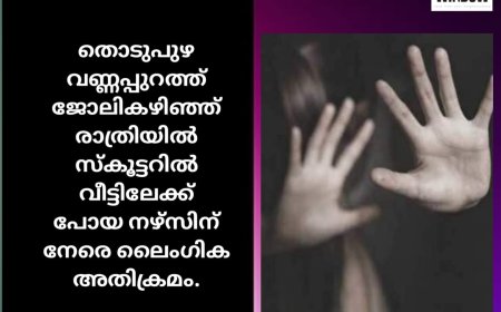 തൊടുപുഴ വണ്ണപ്പുറത്ത് ജോലികഴിഞ്ഞ് രാത്രിയിൽ സ്കൂട്ടറിൽ വീട്ടിലേക്ക് പോയ നഴ്സിന് നേരെ ലൈംഗിക അതിക്രമം.