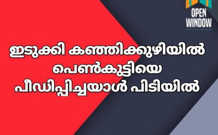 ഇടുക്കി കഞ്ഞിക്കുഴിയിൽ പെൺകുട്ടിയെ പീഡിപ്പിച്ചയാൾ പിടിയിൽ