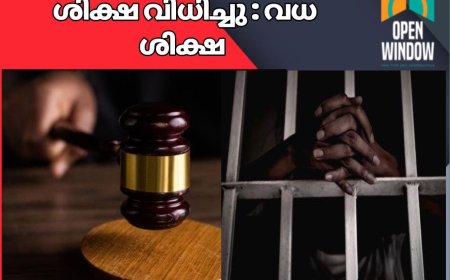 ഇടുക്കി ആനച്ചാലിൽ സഹോദരനെ ചുറ്റിക കൊണ്ട് അടിച്ച് കൊന്ന് സഹോദരിയെ ലൈംഗികമായി പീഡിപ്പിച്ച കേസിൽ പ്രതിക്ക് വധശിക്ഷ