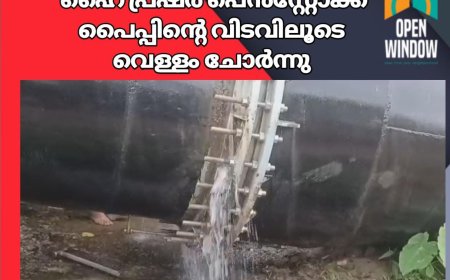 ഇടുക്കി  ചെങ്കുളം വൈദ്യുതി നിലയത്തിലേക്ക് വെള്ളം എത്തിക്കുന്ന ഹൈ പ്രഷര്‍ പെന്‍സ്റ്റോക്ക് പൈപ്പിന്റെ വിടവിലൂടെ വെള്ളം ചോര്‍ന്നു