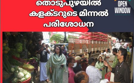 വിലക്കയറ്റം; തൊടുപുഴയില്‍ കളക്ടറുടെ മിന്നല്‍ പരിശോധന; 14 കേസുകള്‍ രജിസ്റ്റര്‍ ചെയ്തു