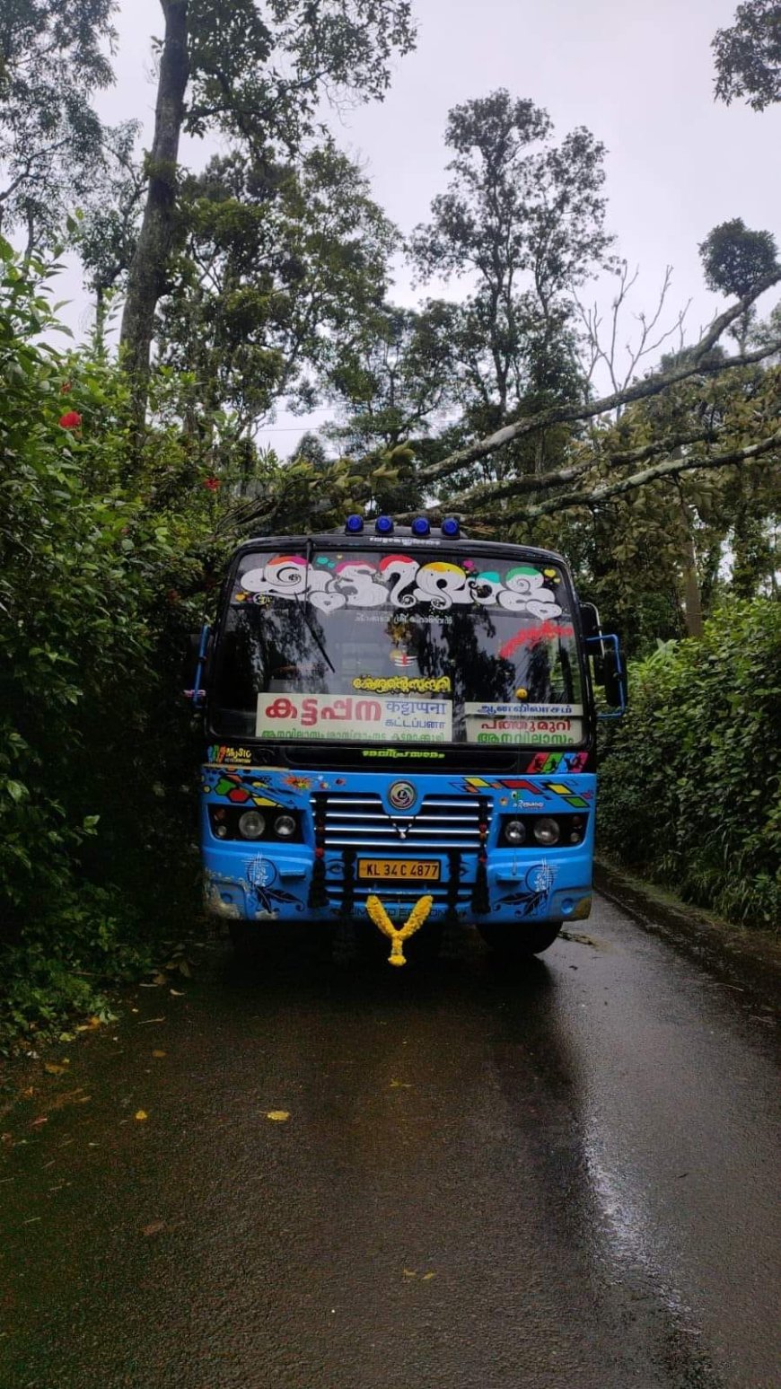 ആനവിലാസം - കട്ടപ്പന റോഡിൽ കുട്ടിമാളു ബസിന് മുകളിൽ മരം  വീണു