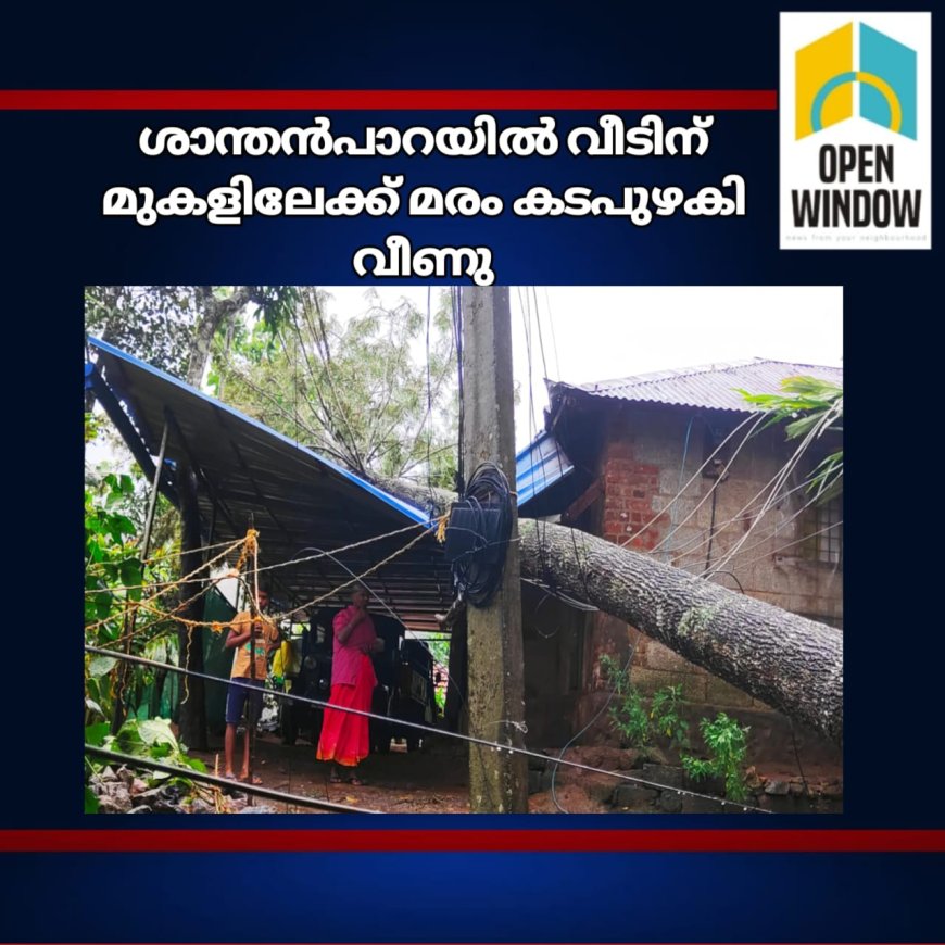 ശാന്തൻപാറയിൽ വീടിന് മുകളിലേക്ക് മരം കടപുഴകി വീണു ; വീട് ഭാഗികമായി തകർന്നു