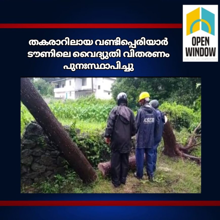 ഇന്നലെ രാത്രിയിൽ പെയ്ത ശക്തമായ മഴയിലും കാറ്റിലും  മരം കടപുഴകി വീണതിനെ തുടർന്ന് തകരാറിലായ വണ്ടിപ്പെരിയാർ ടൗണിലെ വൈദ്യുതി വിതരണം  പുനഃസ്ഥാപിച്ചു