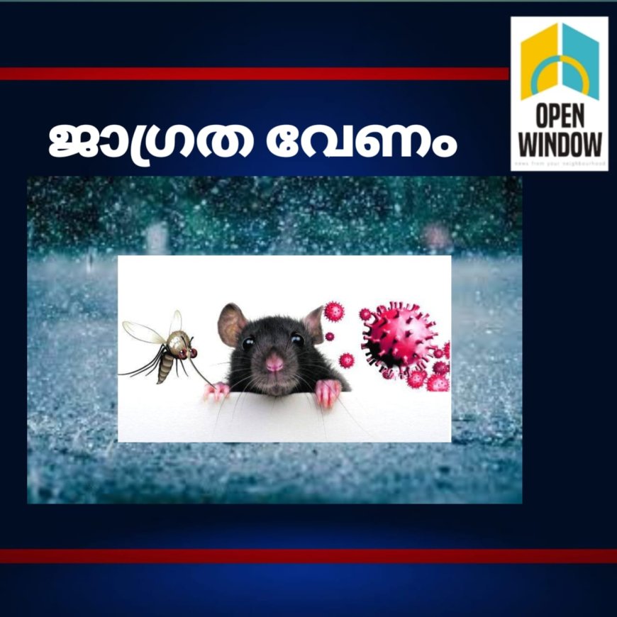 മഴക്കാലത്ത് പകര്‍ച്ചവ്യാധികള്‍ മൂലം മരിച്ചത് 113 പേര്‍; കൂടുതല്‍ മരണങ്ങളും എലിപ്പനി മൂലം