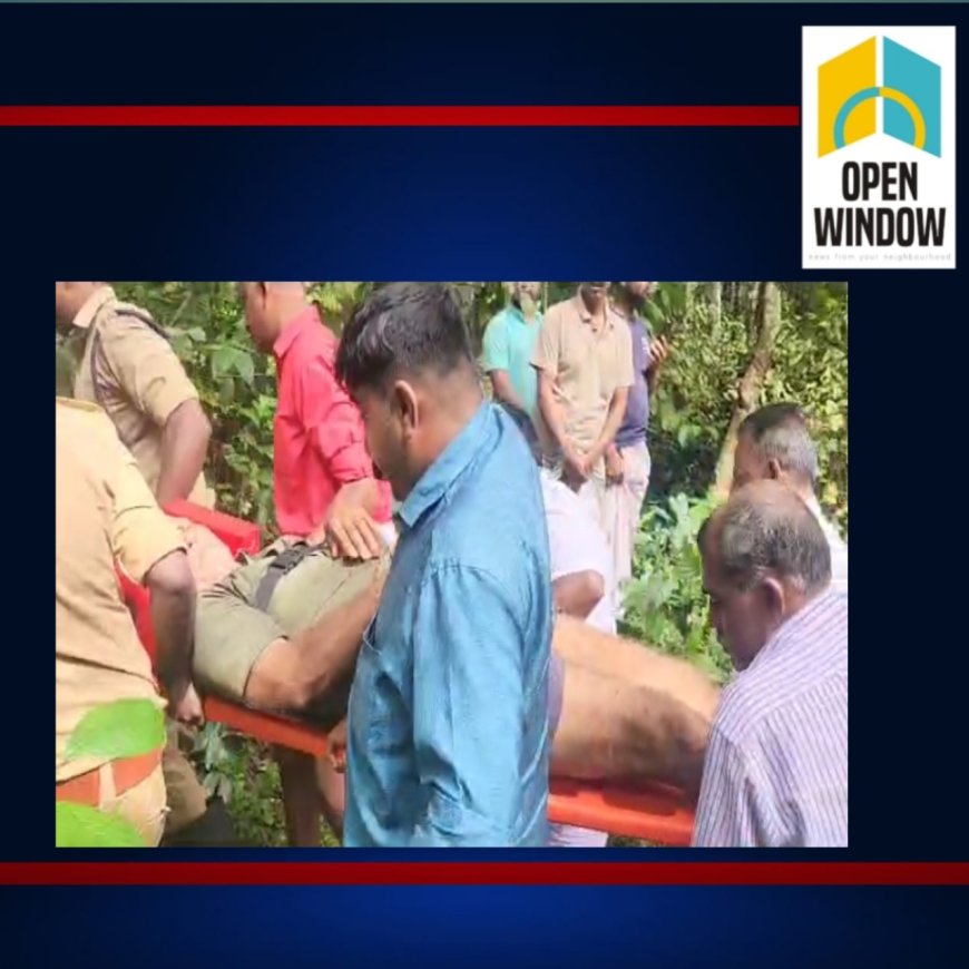 തൊടുപുഴ പട്ടയംകവലയിൽ മരം മുറിക്കാൻ കയറിയ ആൾ മരത്തിൽ കുടുങ്ങി