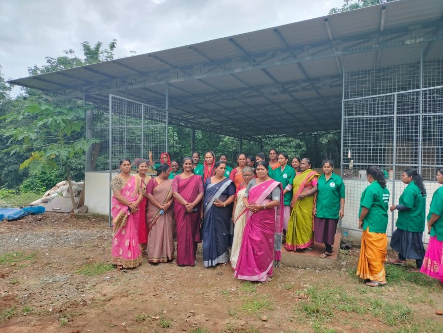 മാലിന്യശേഖരണത്തിന് ഇലക്ട്രിക് ഓട്ടോ;
ഹരിതകര്‍മ സേനാംഗങ്ങള്‍ക്ക് സംരംഭം; മാതൃകയായി പെരുവന്താനം ഗ്രാമപഞ്ചായത്ത്
