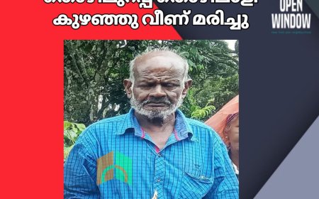 ചിന്നക്കനാലിൽ തൊഴിലുറപ്പ് തൊഴിലാളി കുഴഞ്ഞു വീണ് മരിച്ചു