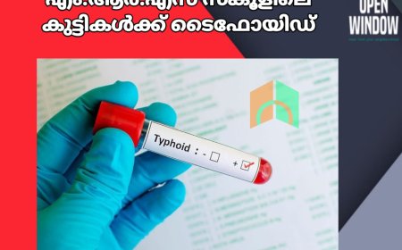 ഇടുക്കി മൂന്നാര്‍ എം.ആര്‍.എസ് സ്‌കൂളിലെ കുട്ടികള്‍ക്ക് ടൈഫോയിഡ്; ക്ലാസുകള്‍ താല്‍ക്കാലികമായി നിര്‍ത്തി