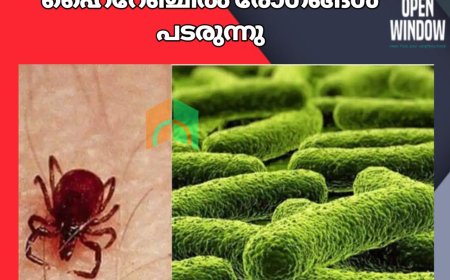 കാലാവസ്ഥ മാറുന്നു. ഹൈറേഞ്ചിൽ രോഗങ്ങൾ പടരുന്നു. എലിപ്പനിക്കും ഡങ്കിപ്പനിക്കും പിന്നാലെ ചെള്ള് പനിയും
