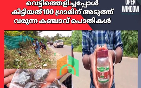 റോഡരികിലെ കാട് വെട്ടിത്തെളിച്ചപ്പോൾ കിട്ടിയത് 100 ഗ്രാമിന് അടുത്ത് വരുന്ന കഞ്ചാവ് പൊതികൾ