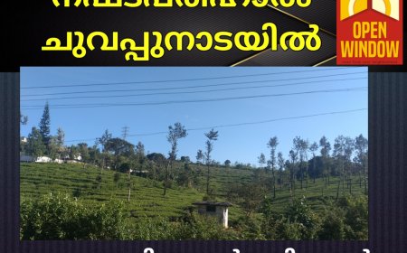 വൈദ്യുതി ലൈൻ വലിക്കാൻ കൃഷി വെട്ടി നീക്കിയിട്ട് 3 വർഷം.
നഷ്ടപരിഹാരം ചുവപ്പുനാടയിൽ