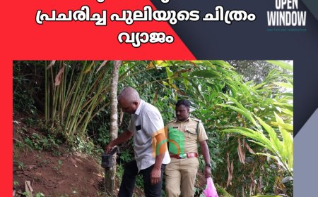 ഉപ്പുതറ പുതുക്കട രണ്ടാം ഡിവിഷനു സമീപം പുലിയെ കണ്ട മേഖലയിൽ വനം വകുപ്പ് ക്യാമറ സ്ഥാപിച്ചു. ഡ്രോൺ ഉപയോഗിച്ച്  നിരീക്ഷണവും നടത്തി. സമൂഹമാധ്യമങ്ങൾ പ്രചരിച്ച പുലിയുടെ ചിത്രം വ്യാജം