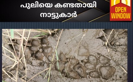 അയ്യപ്പൻ കോവിലിൽ പുലിയെ കണ്ടതായി നാട്ടുകാർ