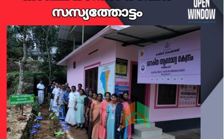 കാഞ്ചിയാറില്‍ ഔഷധ സസ്യത്തോട്ടം