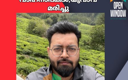 അടിമാലി ആനച്ചാലിൽ വാഹനാപകടം; മഹാരാഷ്ട്ര സ്വദേശിയായ യുവാവ് മരിച്ചു