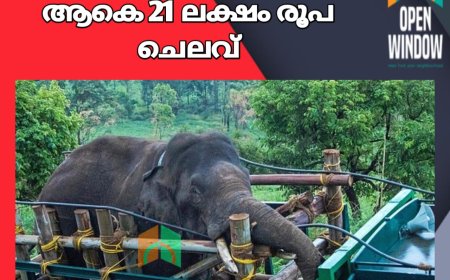 അരിക്കൊമ്പനെ ചിന്നക്കനാലിൽ നിന്നും പിടികൂടി പെരിയാർ ടൈഗർ റിസർവിൽ തുറന്നു വിട്ടതിന് ആകെ 21 ലക്ഷം രൂപ ചെലവ്