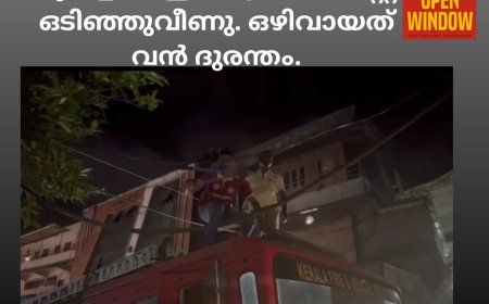 കട്ടപ്പനയിൽ ലോറിക്ക് മുകളിൽ ഇലക്ട്രിക് പോസ്റ്റ് ഒടിഞ്ഞുവീണു. ഒഴിവായത് വൻ ദുരന്തം.