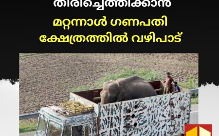 അരിക്കൊമ്പനെ ചിന്നക്കനാലിൽ തിരിച്ചെത്തിക്കാൻ  മറ്റന്നാൾ ഗണപതി ക്ഷേത്രത്തിൽ വഴിപാട്.