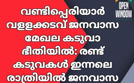 വണ്ടിപ്പെരിയാർ വളളക്കടവ് ജനവാസ മേഖല കടുവാ ഭീതിയിൽ. രണ്ട്  കടുവകൾ  ജനവാസ മേഖലയിലെത്തി