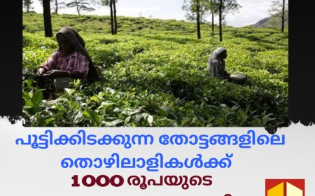 പൂട്ടിക്കിടക്കുന്ന തോട്ടങ്ങളിലെ തൊഴിലാളികൾക്ക് കൈതാങ്ങായി സർക്കാർ .തൊഴിലാളികൾക്ക്  1000 രൂപയുടെ പലവ്യജ്ഞനങ്ങളടങ്ങിയ ഓണകിറ്റ്