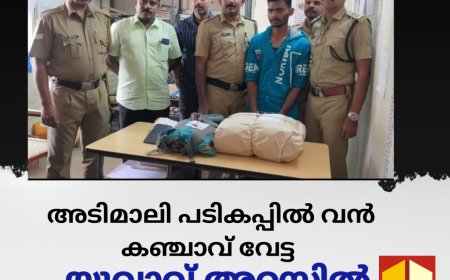 ഇടുക്കി അടിമാലിക്ക് സമീപം ഇരുമ്പുപാലം പടികപ്പിൽ വൻ കഞ്ചാവ് വേട്ട .യുവാവ് അറസ്റ്റിൽ