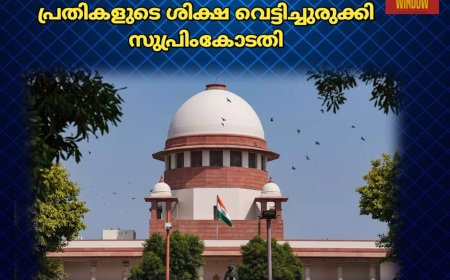 നേര്യമംഗലം ബസ് അപകടം ; പ്രതികളുടെ ശിക്ഷ വെട്ടിച്ചുരുക്കി സുപ്രിംകോടതി
