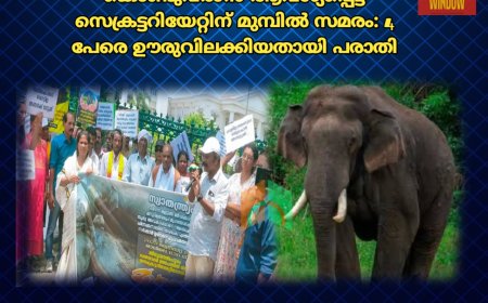 അരിക്കൊമ്പനെ തിരികെ കൊണ്ടുവരാൻ ആവശ്യപ്പെട്ട്  സെക്രട്ടറിയേറ്റിന് മുമ്പിൽ സമരം; പ്രതിഷേധത്തിൽ പങ്കെടുത്ത   ചിന്നക്കനാൽ നിവാസികളെ ഊരുവിലക്കിയതായി പരാതി