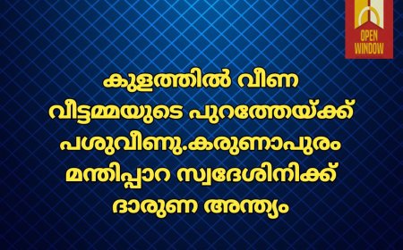 കുളത്തിൽ വീണ
വീട്ടമ്മയുടെ പുറത്തേയ്ക്ക് പശുവീണു.കരുണാപുരം മന്തിപ്പാറ സ്വദേശിനിക്ക് ദാരുണ അന്ത്യം