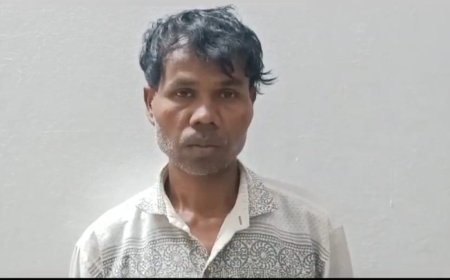 വീടിനോട്‌ ചേർന്നുള്ള പറമ്പിൽ കഞ്ചാവ് ചെടികൾ നട്ടു വളർത്തിയ കേസിൽ കട്ടപ്പനയിൽ ഒരാൾ അറസ്റ്റിൽ