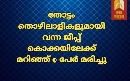 തോട്ടം തൊഴിലാളികളുമായി വന്ന ജീപ്പ് കൊക്കയിലേക്ക് മറിഞ്ഞ് 9 പേർ മരിച്ചു