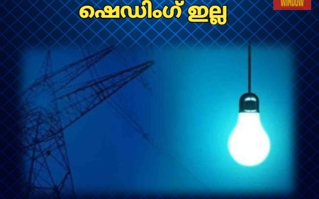 സംസ്ഥാനത്ത് ലോഡ് ഷെഡിംഗ് ഇല്ല.മന്ത്രി വിളിച്ചുചേർത്ത അവലോകന യോഗത്തിലാണ് തീരുമാനം