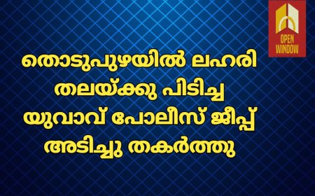 തൊടുപുഴയിൽ ലഹരി തലയ്ക്കു പിടിച്ച യുവാവ് പോലീസ് ജീപ്പ് അടിച്ചു തകര്‍ത്തു. നഗരത്തില്‍ വഴിയാത്രക്കാരെയും വാഹന ഡ്രൈവര്‍മാര്‍ക്കും നേരെ ആക്രമണം നടത്തിയ  ഇയാളെ പിടികൂടി
